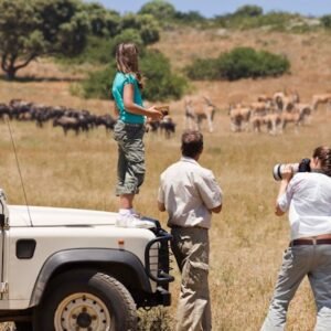 19f58fa8ba1257fd20598ceb4598bf2afb2cca51